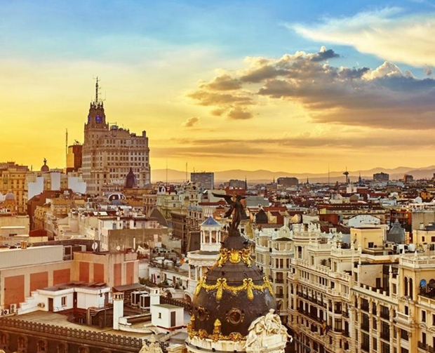 EuroCircle Feedback 5