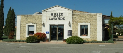 St. Andrew’s Cathedral