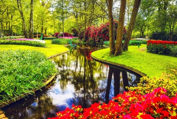 Keukenhof Garden
