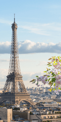 banner-image-one