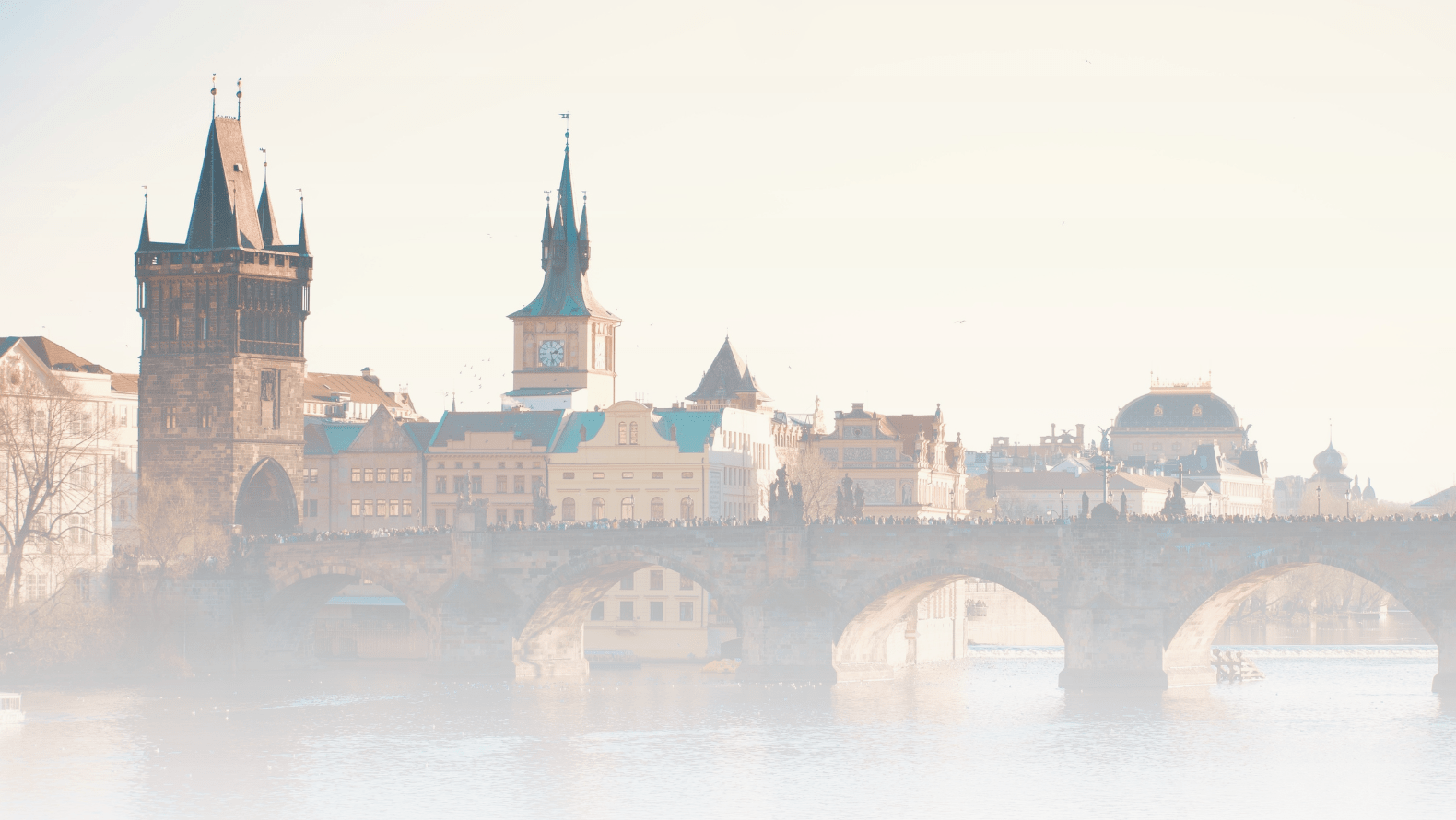 banner-image