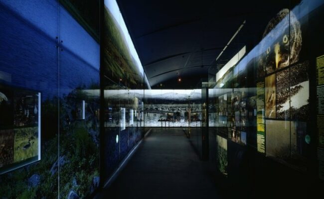 Bảo tàng Bắc Cực Arktikum